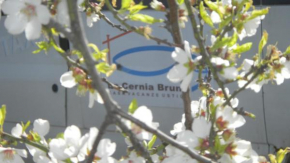  Case Vacanze La Cernia Bruna  Устика